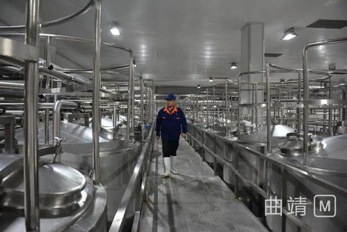 陸良2.8億投資項(xiàng)目順利進(jìn)入試生產(chǎn)階段，區(qū)域經(jīng)濟(jì)迎來(lái)發(fā)展新動(dòng)能